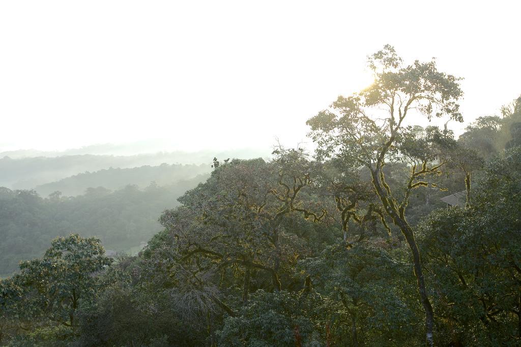 Taj & Coorg Hotel 5*